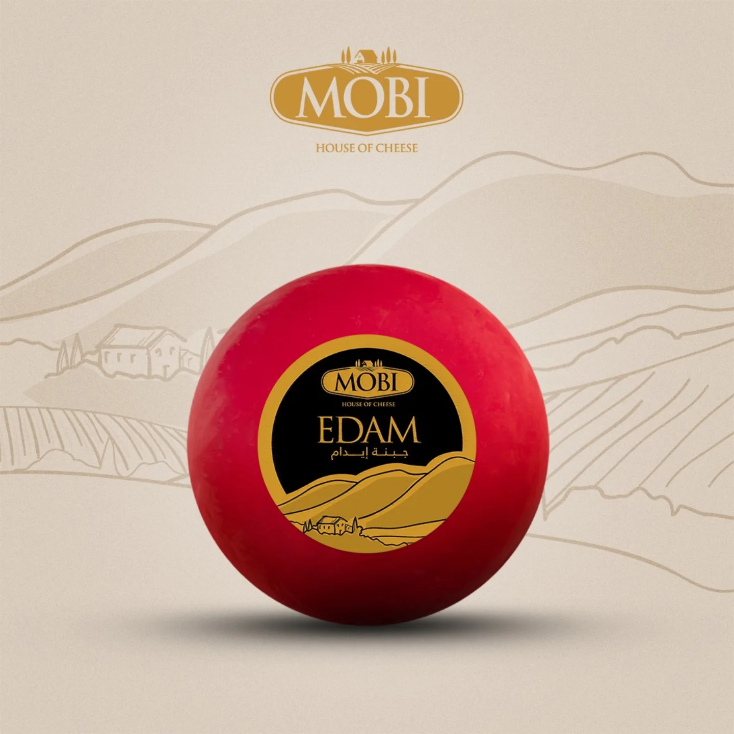 Edam Cheese